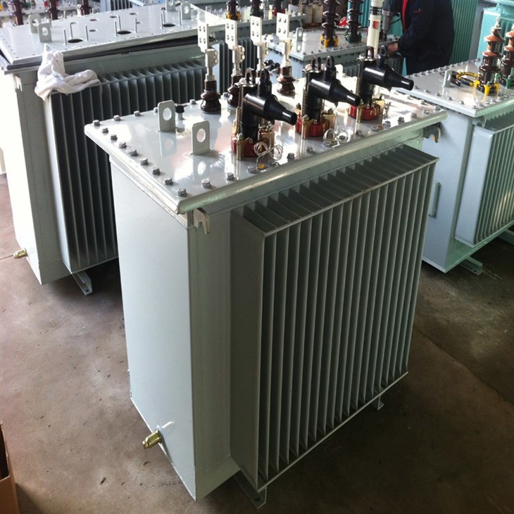 Customized Power Supply Electric 69KV 100 MVA Oil Immersed Transformer